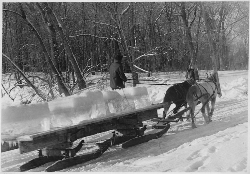 Hauling ice on horse-drawn sled