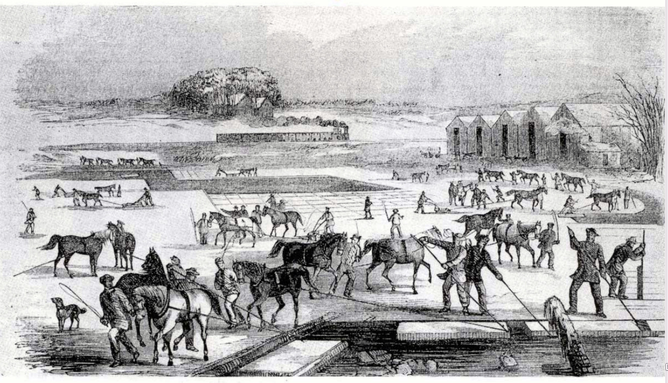 Ice harvesting in Massachusetts, 1850s