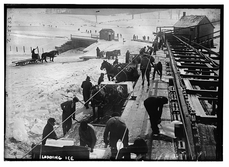 Loading ice, 1910